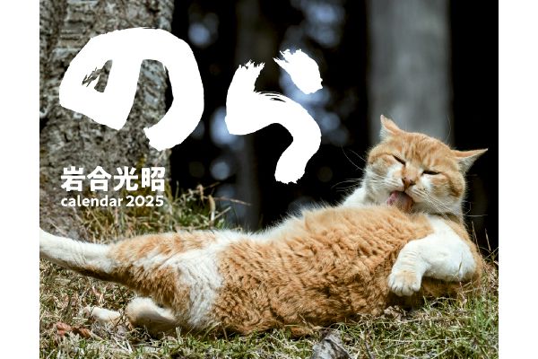 猫カレンダー のら