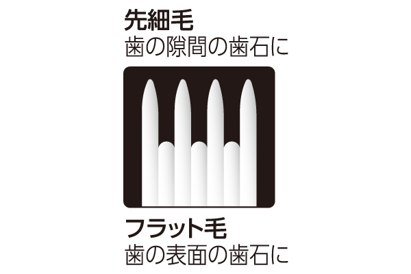 歯医者さんが考えた密毛先細毛歯ブラシ