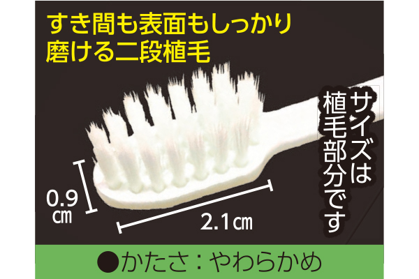 しっかり磨ける極細毛ハブラシII