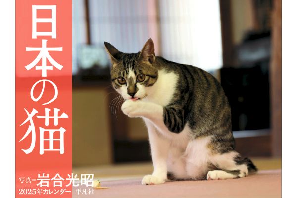 岩合光昭　日本の猫カレンダー