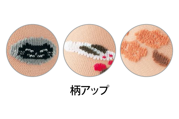 【ネット限定】シースルータビソックス　（３柄組　22〜24cm）
