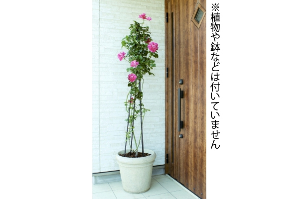 トピアリースティック