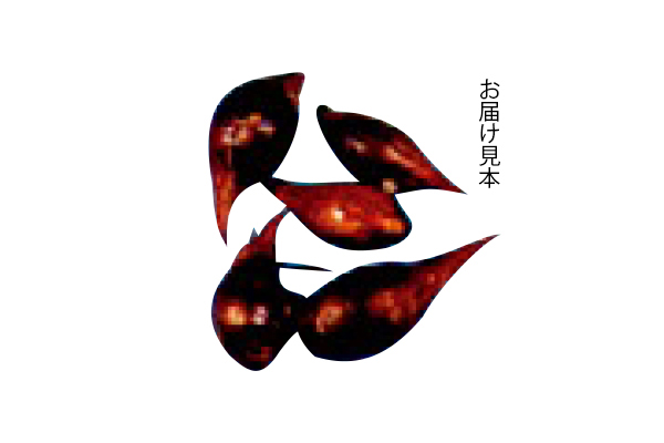 華やかオキザリス