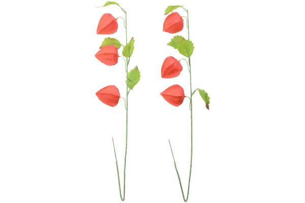 お墓でも使えるほおずき盆提灯