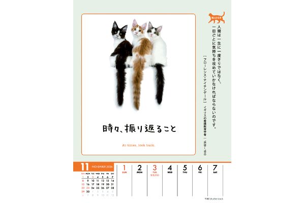 人生はニャンとかなる！カレンダー