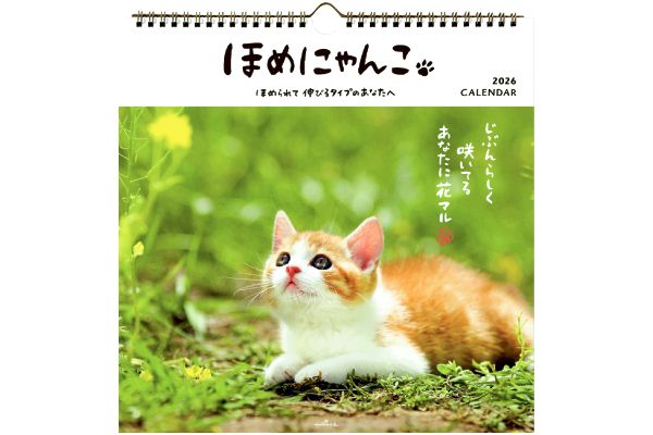 ほめにゃんこカレンダー