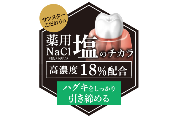 [サンスター]薬用ハミガキソルテージIIIスパイシーミント