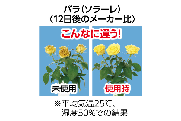 キープ・フラワー