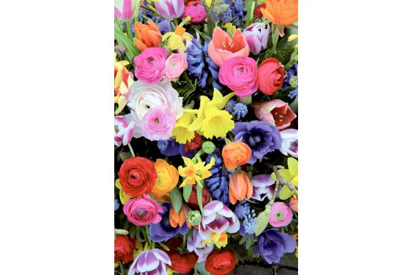 切り花向き球根　おまかせセット