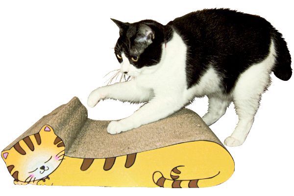 ねこの爪とぎ　居眠りにゃんこ