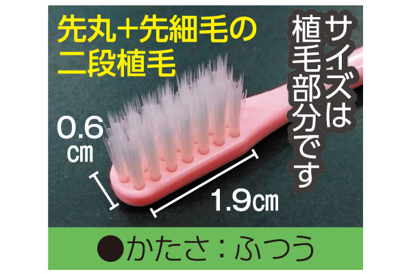 磨きやすい歯ブラシ（６本組）