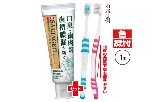 サンスター薬用ハミガキソルテージIIIスパイシーミント８５ｇ