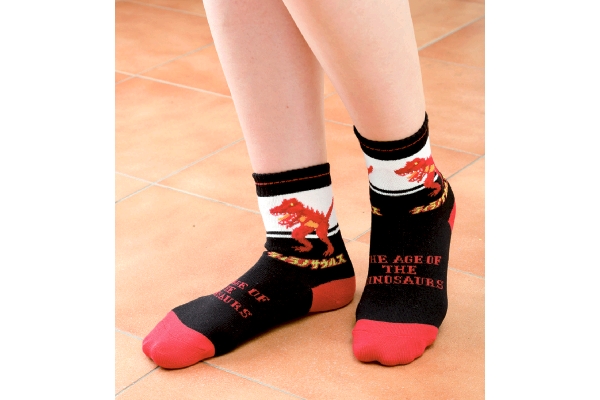 恐竜ソックス