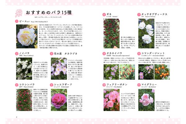 ［美しさに差が出る！］「一枚上手」のバラの咲かせ方