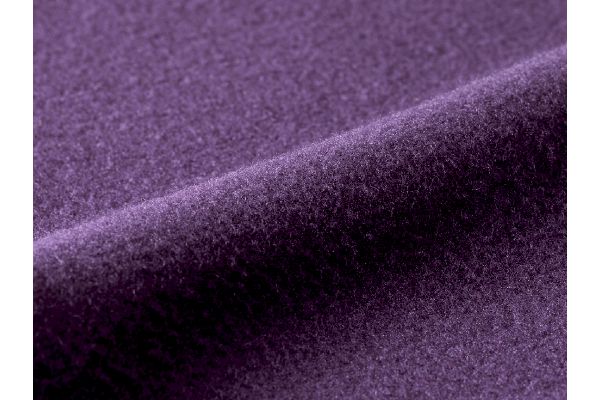 裏起毛やわらかあったか５分丈ボトム