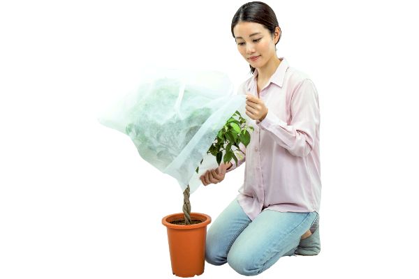 不織布防虫・霜よけカバー