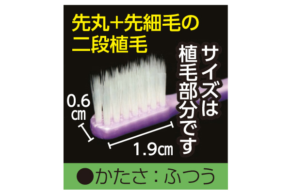 磨きやすい歯ブラシ極