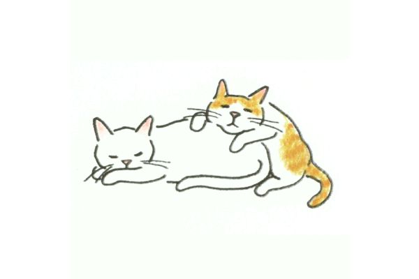 ねこの描き方れんしゅう帖