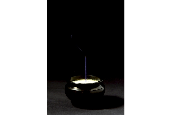 青雲バイオレット　バラ詰