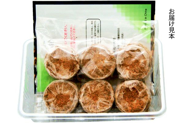 ぷにっちょトマトのタネ（すくすくベッ土付き）