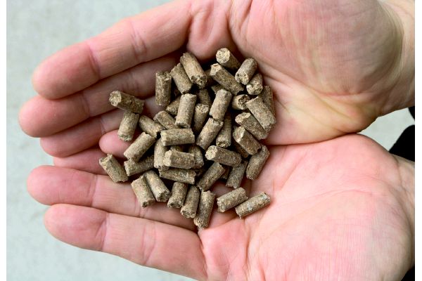 すぐ効く粒状肥料