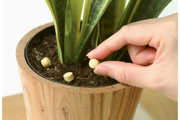 エードボールＣａ