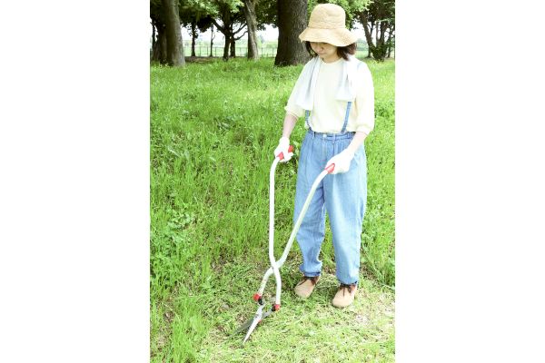 たち刈る君　１号