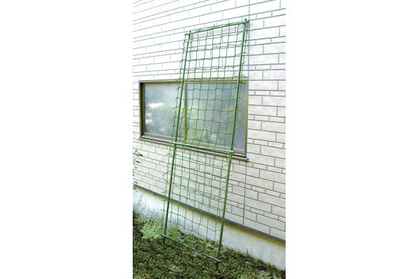 緑のカーテン立掛けタイプ