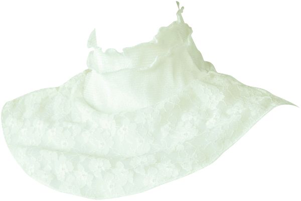 衿もとシルクのレースネックカバー ホワイト