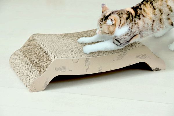 動物病院の先生がお勧めする　ソファ型爪とぎ