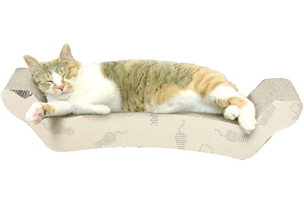 動物病院の先生がお勧めする　ソファ型爪とぎ
