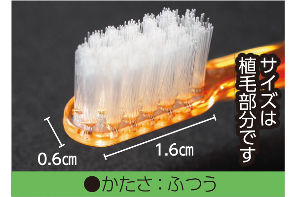 モンスール　きちんと奥歯ケア用ミディアムセット