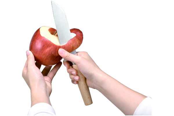 小振り三徳たなごころ