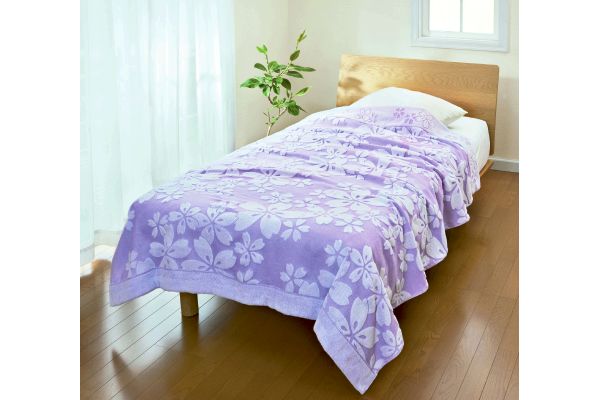 [今治産]タオルケット　桜柄