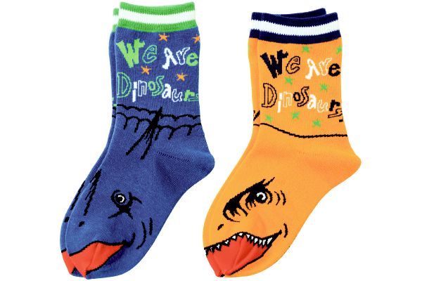 【ネット限定】ウィアーダイナソアーズ！なりきりソックス　（２柄組　14〜19cm）　　