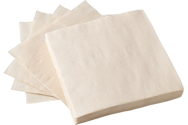 【ネット限定】未晒しペーパーナプキン　（20枚入×２個組）　　