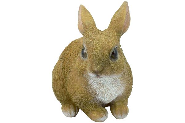 手のりうさぎ