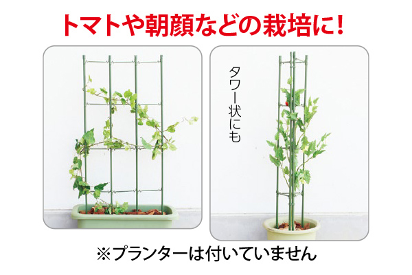 らくだな