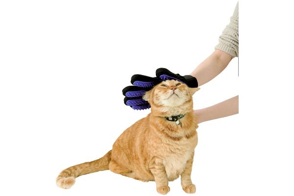 ペットのブラッシンググローブ右手用