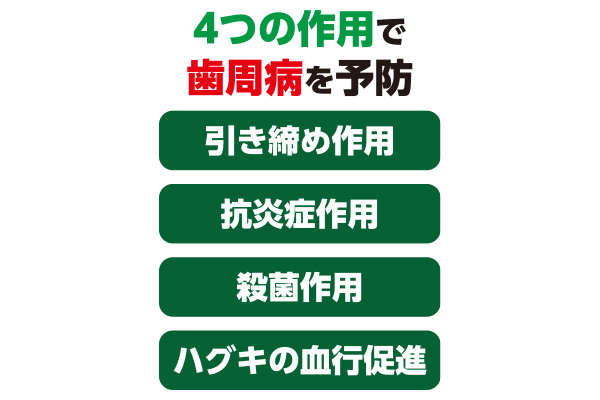 ［サンスター］薬用ハミガキソルテージIIIスパイシーミント