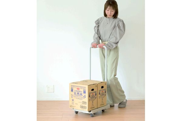 Ｃａｒｒｙおてがるスリム