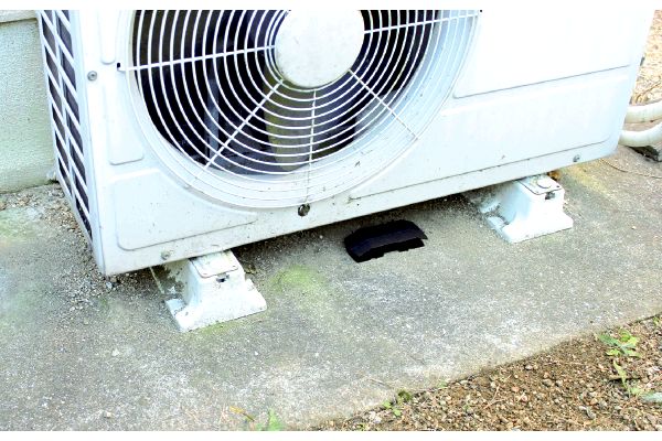 置くだけ　見なくなる！ムカデハンター