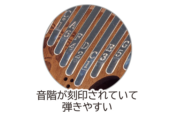 ハワイのカリンバ入門セット