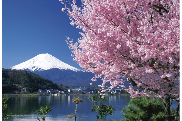 桜と富士（山梨） ジグソーパズル