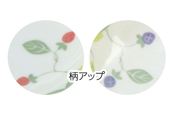 【ネット限定】［美濃焼］野苺サラダボウル　（２色各２枚組）