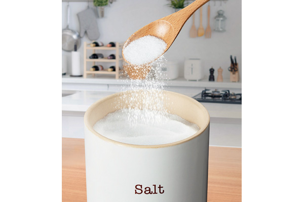 【ネット限定】［デリッシュライフ］ソルトポット　（３００ｍｌ）