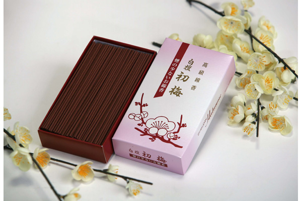 白檀　初梅