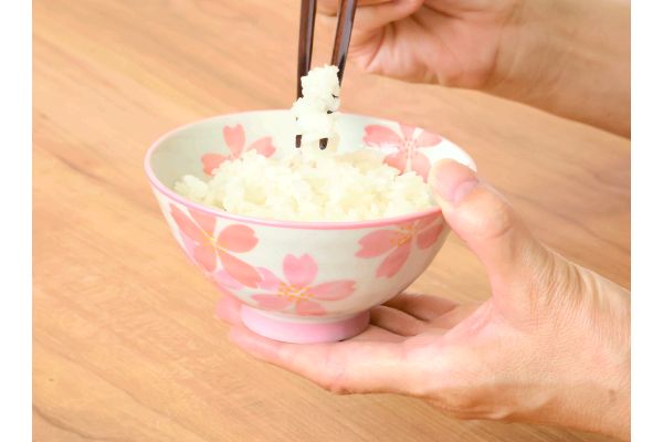 [美濃焼]内外桜飯碗