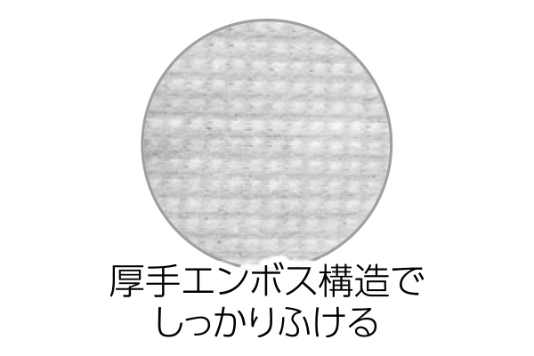 激落ちくんスニーカークリーナーシート超厚