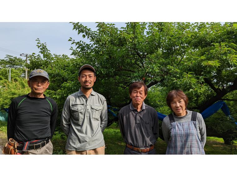 【ネット限定】有機梅（南高梅）